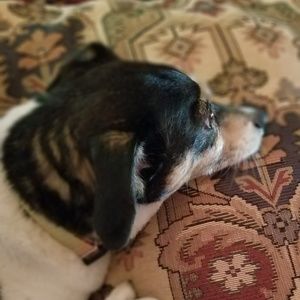 Meet your Posher, Patti